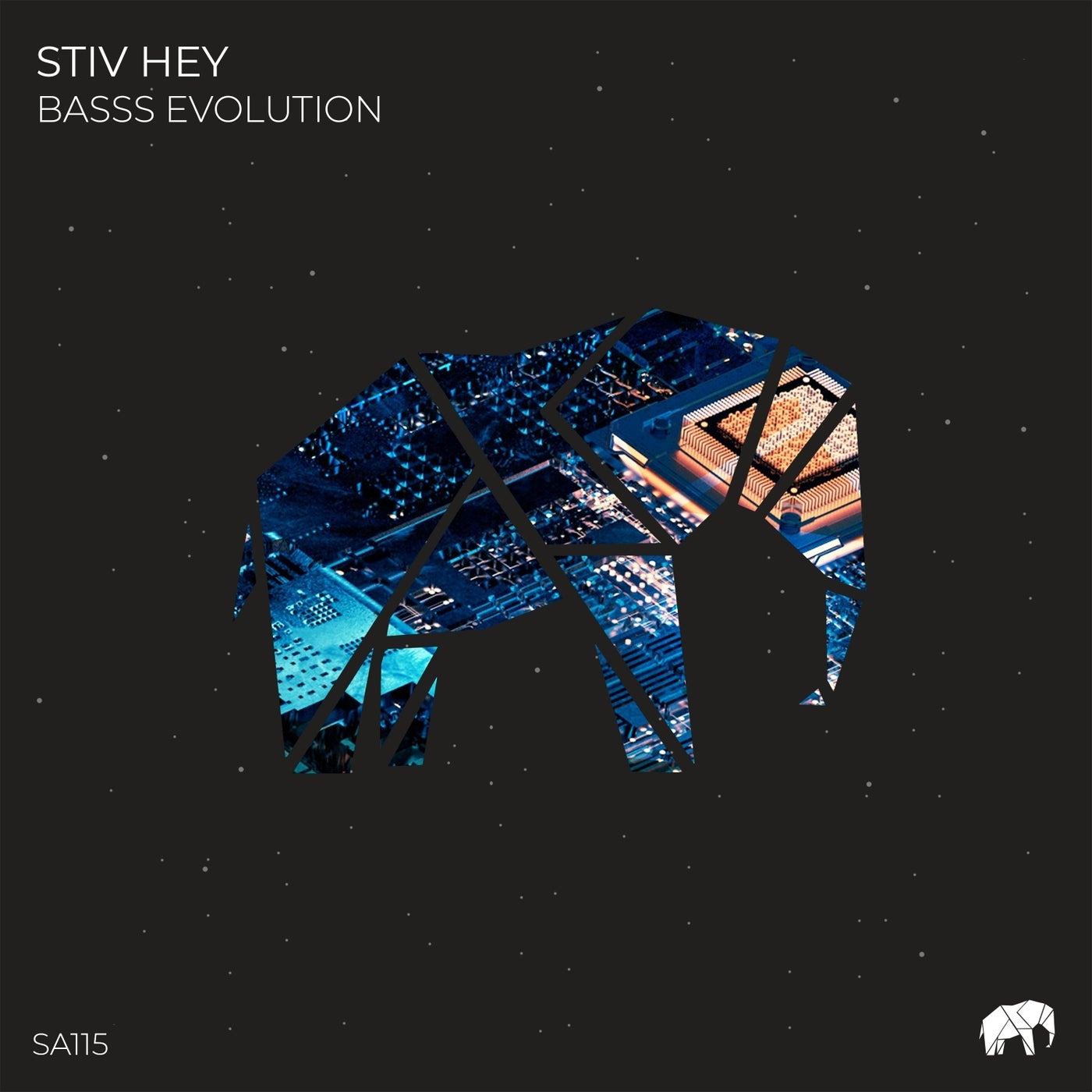 Stiv Hey – Basss Evolution [SA115]